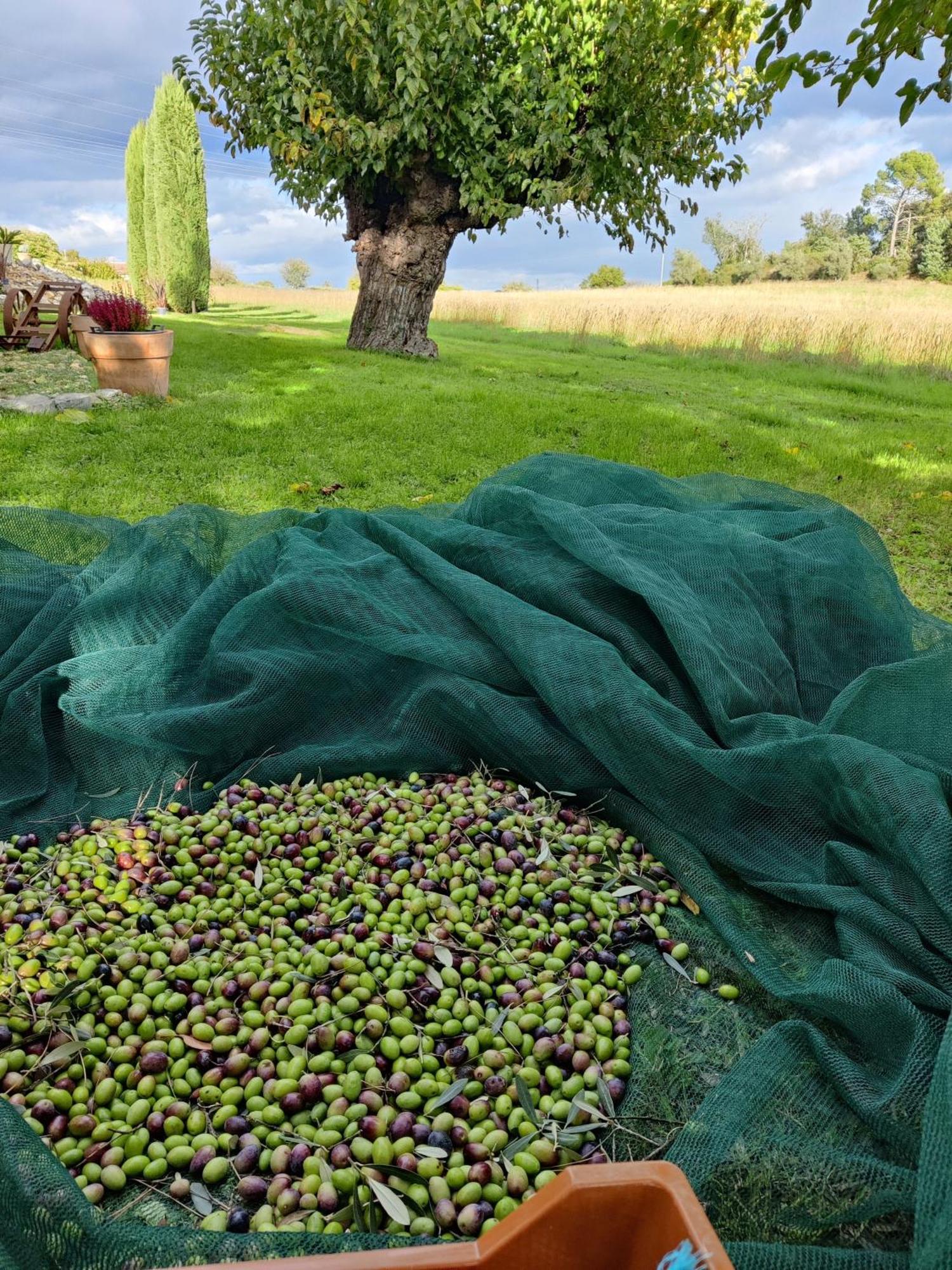 Gite Proche De La Bambouseraie Boisset-et-Gaujac Exterior foto